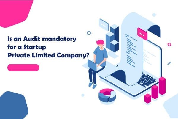 Audit-1.jpg - ThinkBiz Filings India
